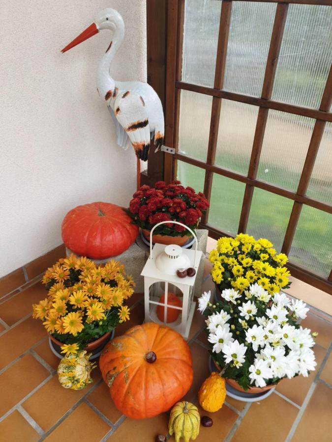 Fleur De Vigne Apartment Егишем Екстериор снимка